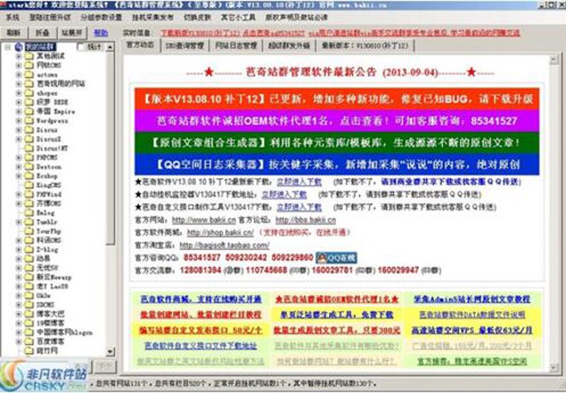 解析站群程序：运营者的必备工具